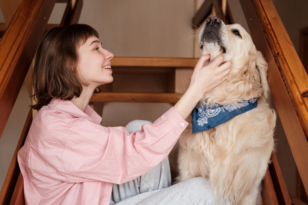 pet surgery recovery tips