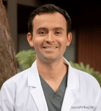 Dr. Chris Maag - Veterinarian walnut creek