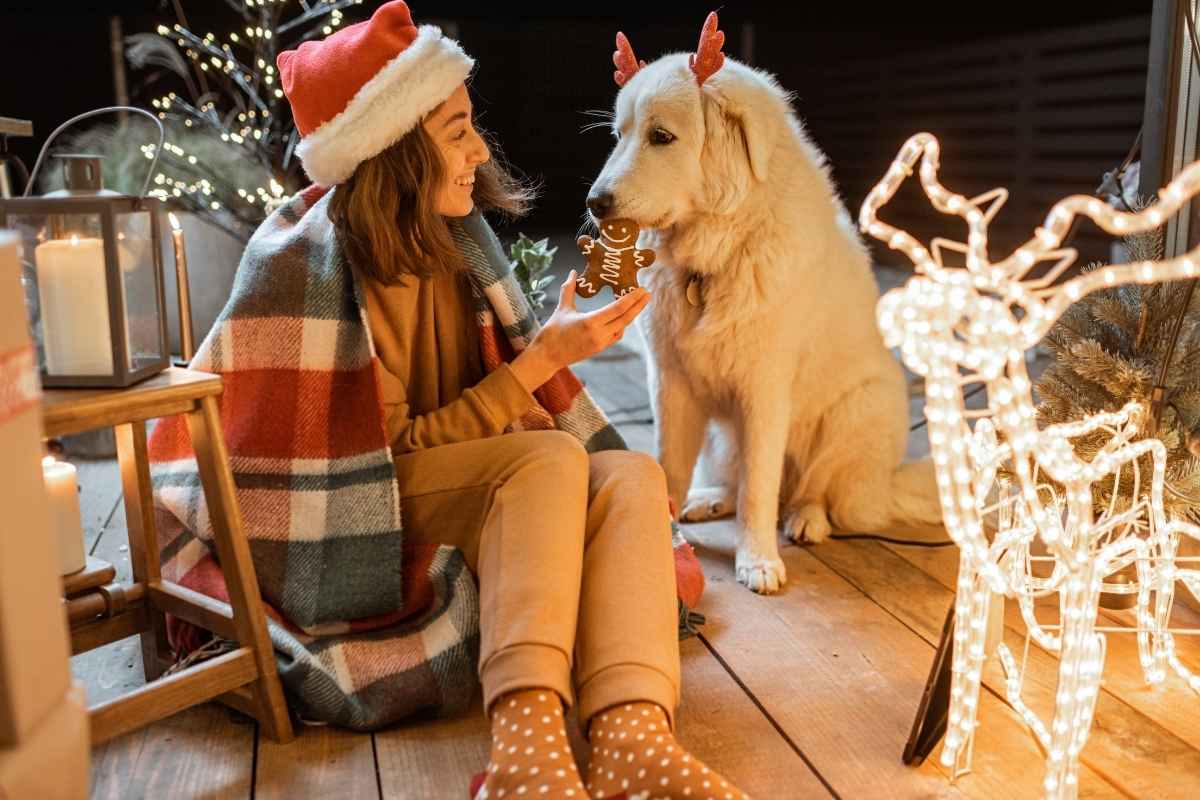Veterinarian’s Guide to a Safe & Healthy Christmas for Pets
